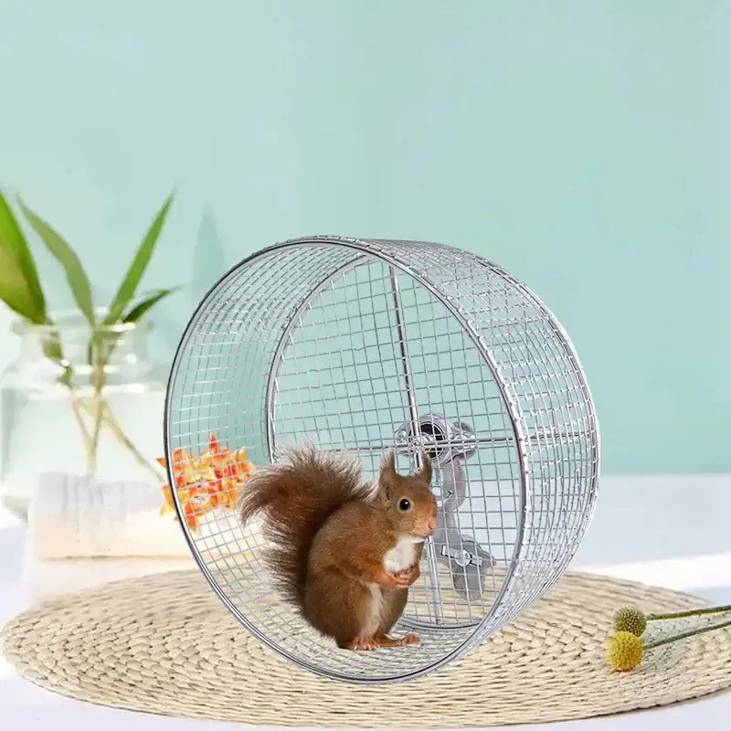 Metal Hamster Running Exercise Wheel Anti Slip Mute Toy Cage Accessories for Hedgehogs Rats Squirrel Play and Run Pet Supplies