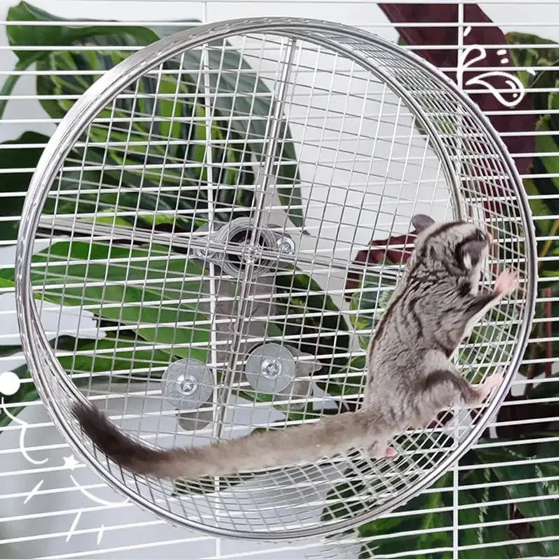 Metal Hamster Running Exercise Wheel Anti Slip Mute Toy Cage Accessories for Hedgehogs Rats Squirrel Play and Run Pet Supplies